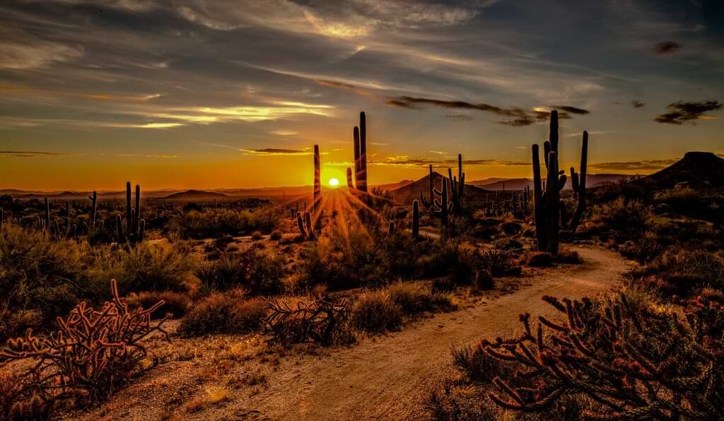 El desierto de Arizona presenta muchos lugares interesantes, y uno de ellos es el Papago Park. Esta es una enorme área recreativa al aire libre que incluye varios sitios de interés turístico como el Zoológico y los Jardines botánicos.