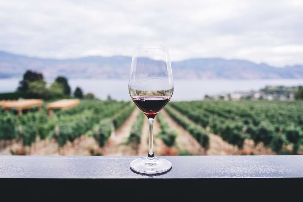 La mejor época del año para recorrer los viñedos de California es el verano, cuando los días en la costa oeste son brillantes, soleados y la vid abruma con su hermoso color verde. Es la temporada alta, cuando más gente visita la región.