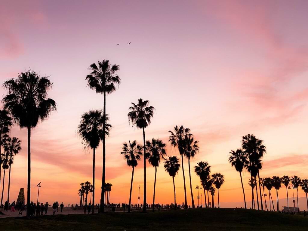 Los inconfundibles atardeceres en Venice Beach, una de las playas más bellas y famosas de la ciudad de Los Ángeles. Una imagen que se repite incansablemente a lo largo de la costa de California en Estados Unidos. Para disfrutar de USA necesitara una visa ESTA.