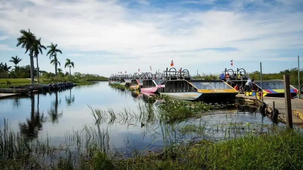 Experimenta los inmensos pantanos del Parque Nacional de los Everglades de Miami, donde la naturaleza y la fauna despliega toda su majestuosidad. Un santuario natural y ecológico que cautiva con sus humedales infinitos y su vida salvaje. 